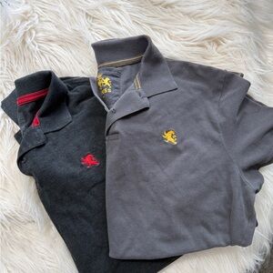 Express men’s polos